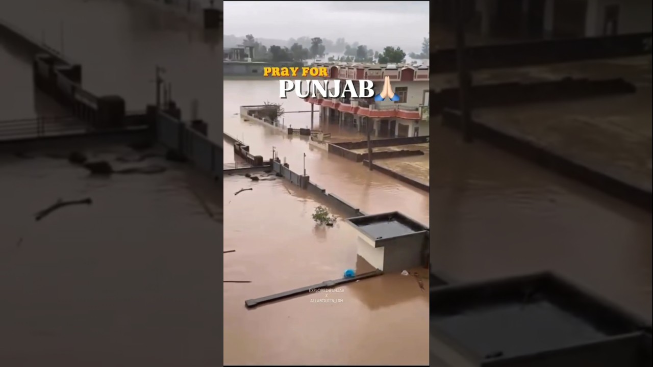 Waheguru ji Mehar kro❤🙏🏻#shorts #ytshorts #youtubeshorts #punjab #flood #trending #viral #ytshort