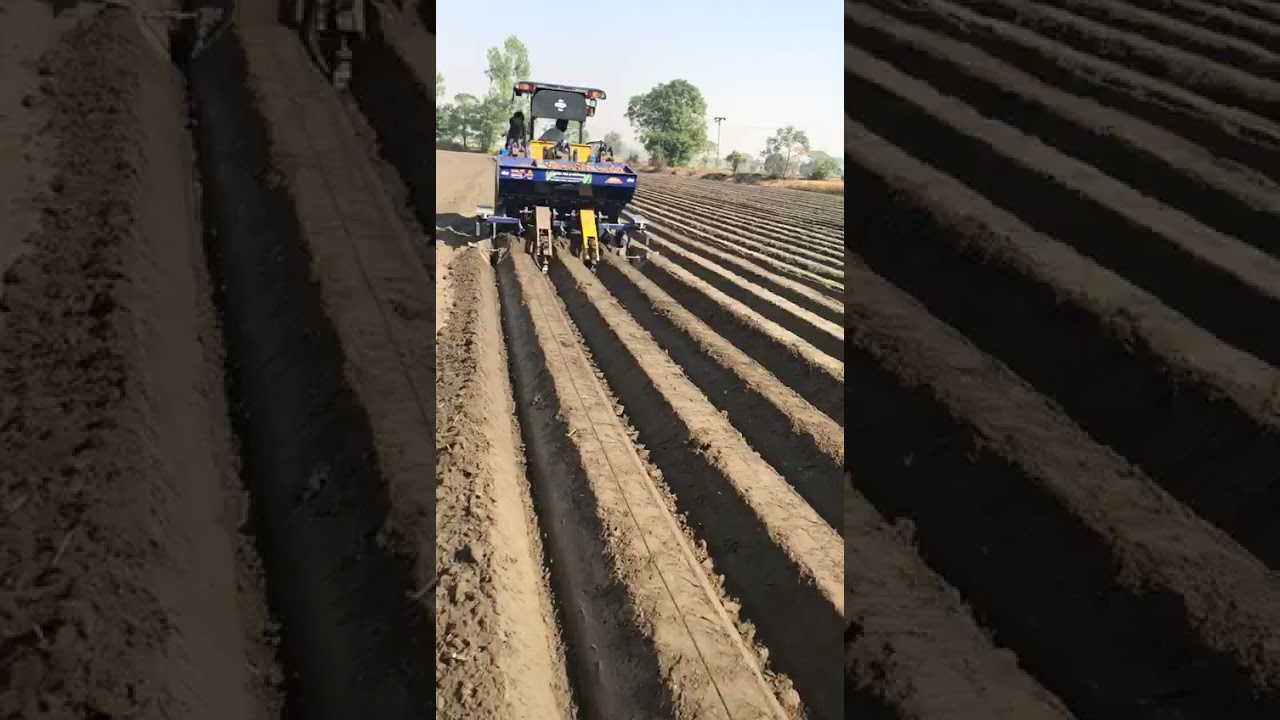potato Planter 3 Row