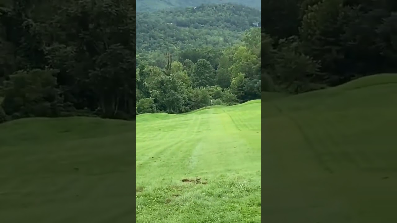 Caleb Hall throws the World&rsquo;s Longest Recorded Ace. North Cove DGC. Star Destroyer, 611 ft! #shorts