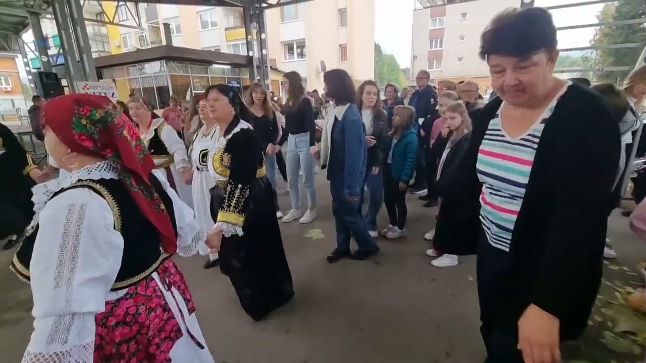 Narodno kolo u Vitezu