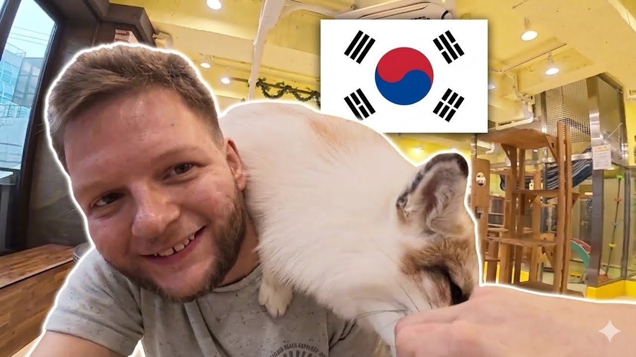 MEERKATS, FOXES & RACOONS: Korea’s STRANGEST Animal Café