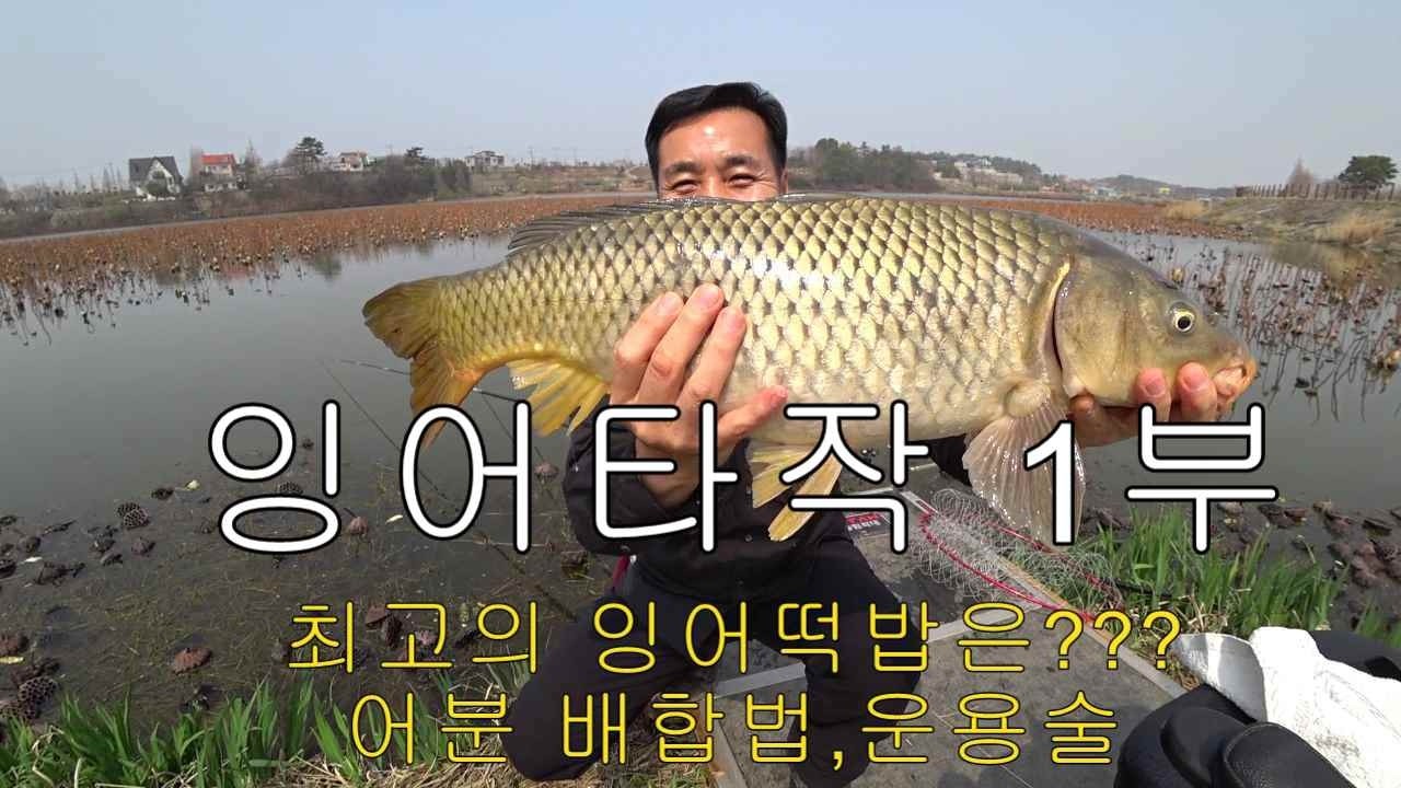 연밭에서 잉어마릿수!!산란철 이맛이지!!#잉어낚시 #carpfishing