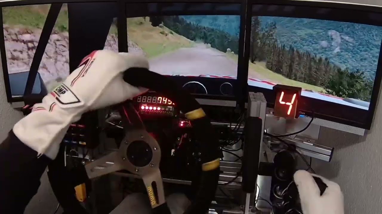 RBR - BMW M1 Rally - French Alpes