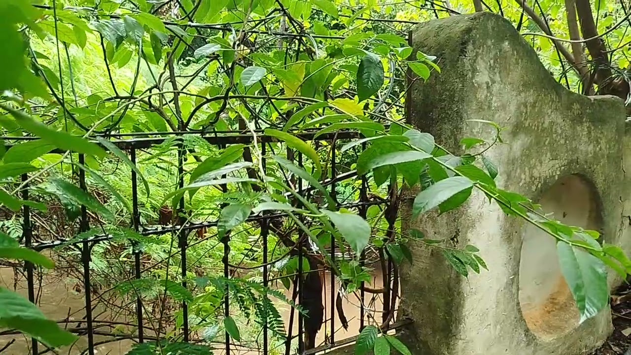 Arroyo Mburicaó o Tembetary 