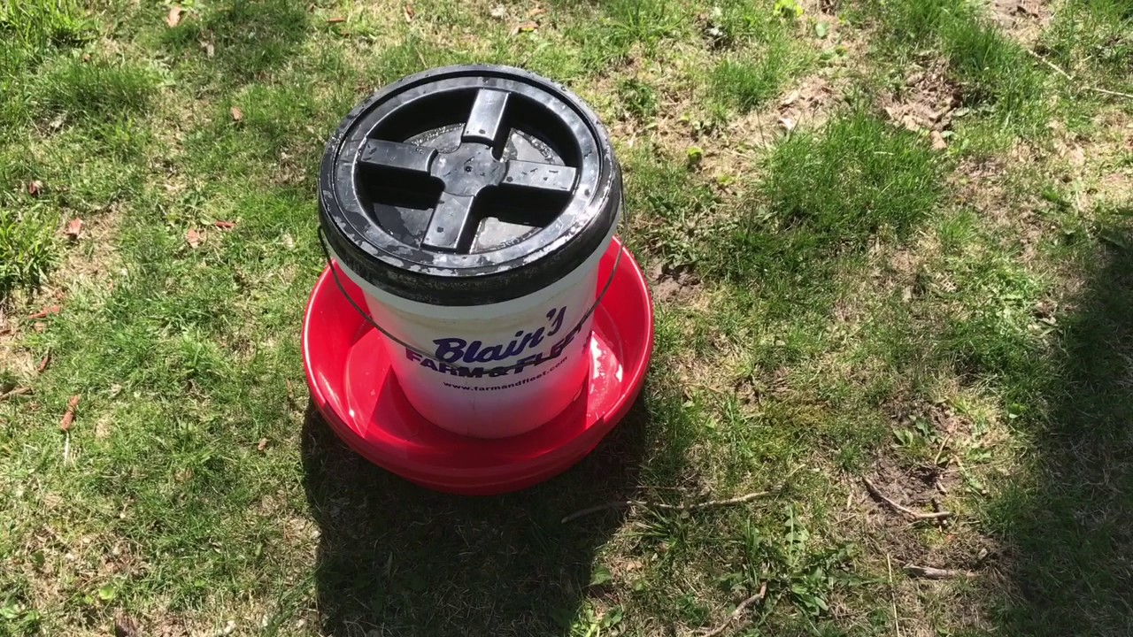 Homemade Chicken Waterer