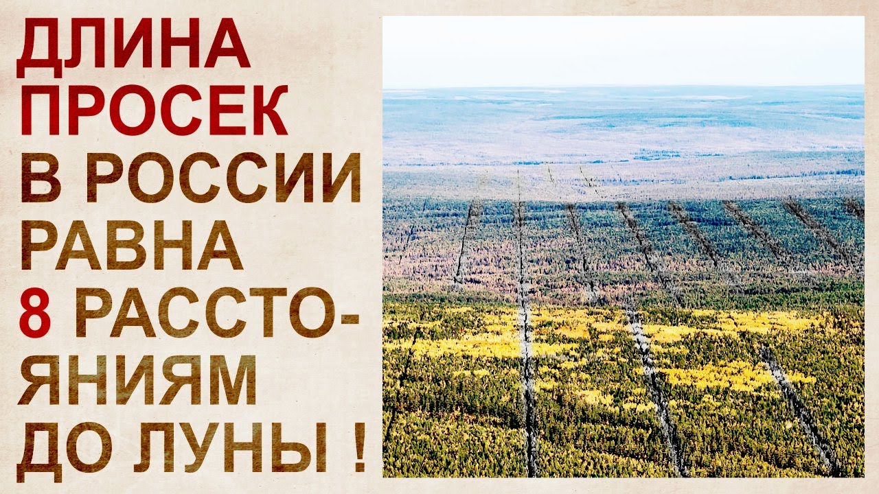 Тайна лесов Сибири, скрывающая катастрофу 19 века