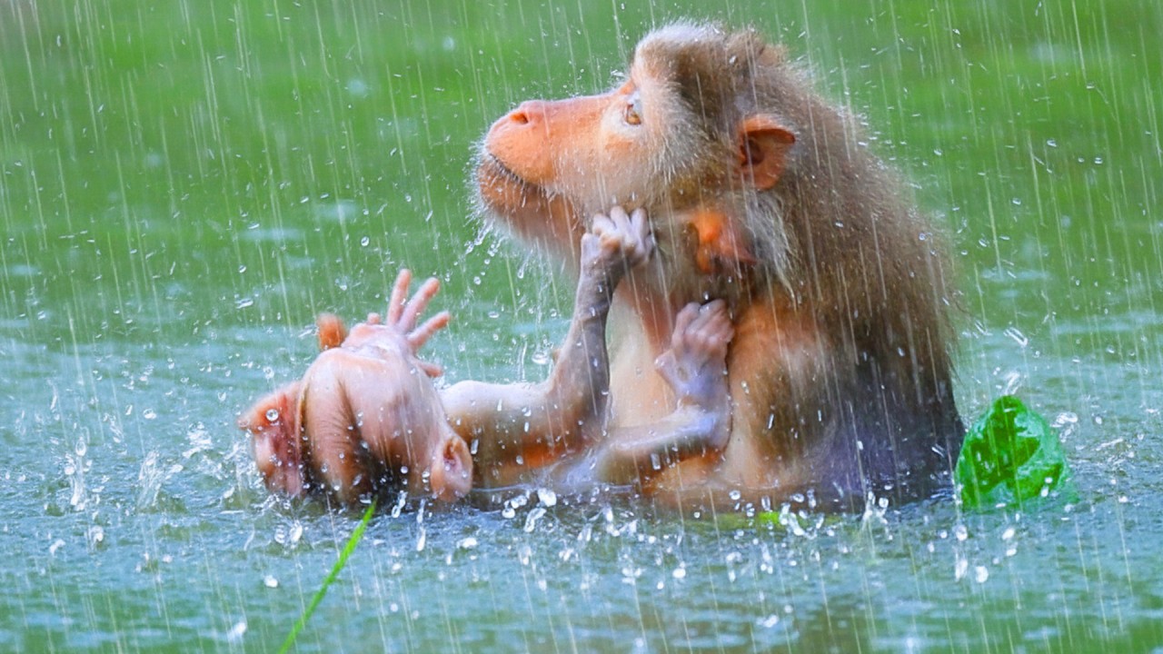 Unforgettable memories​ sweet newborn baby training to swims with his mother