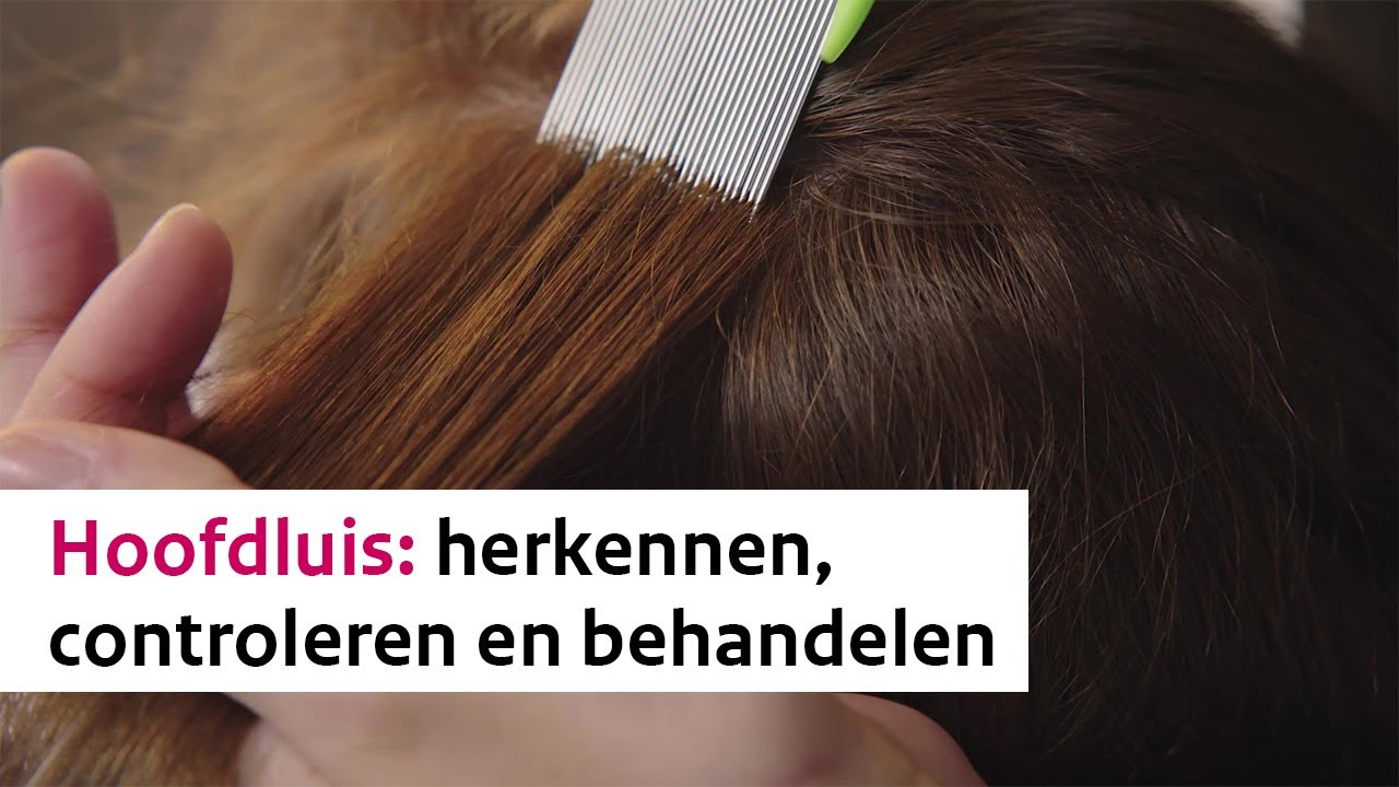 Hoofdluis : herkennen, controleren en behandelen