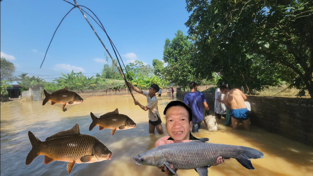 Kéo Cá mùa lũ kỷ lục Sông Cầu Thái Nguyên. Hoàng Hiền