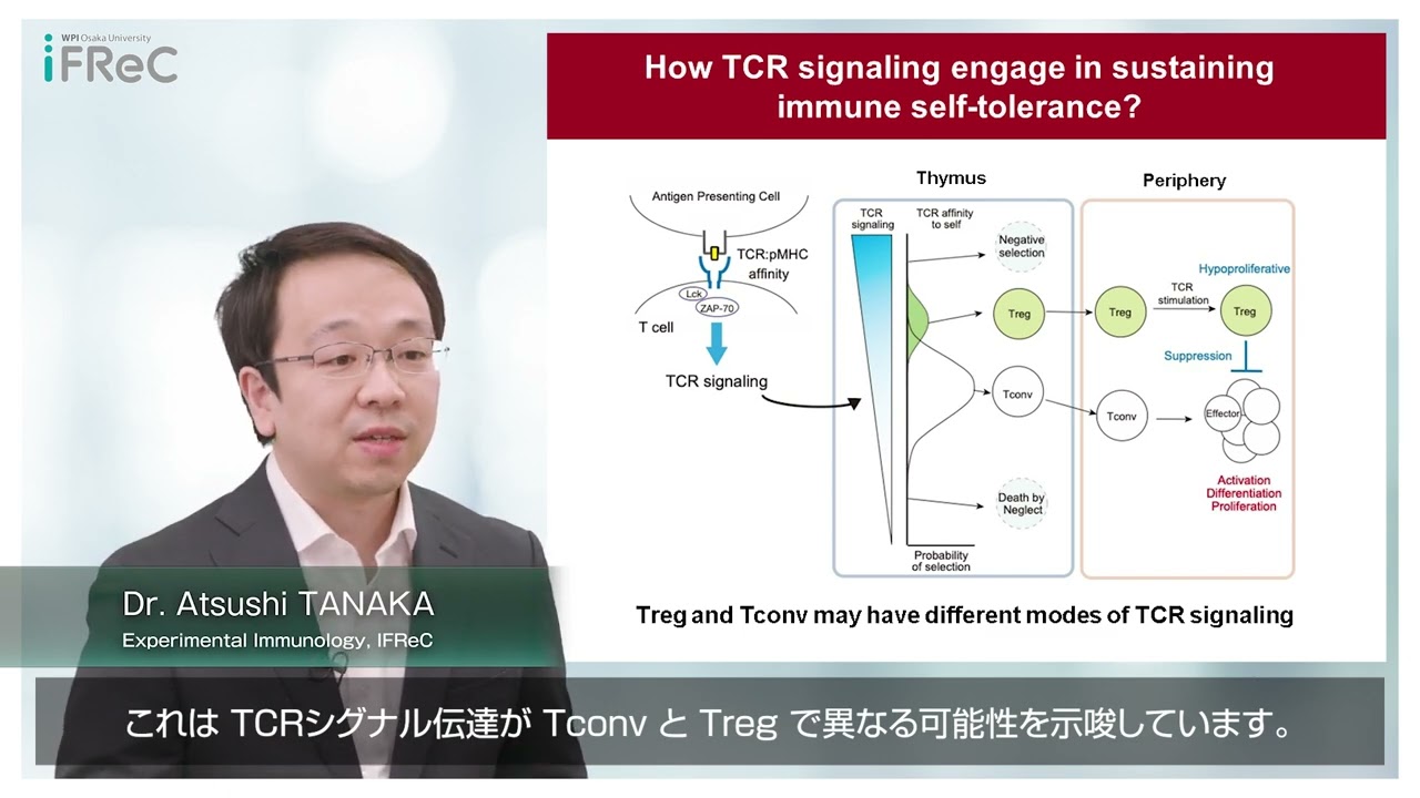 Dr. Atsushi TANAKA - TCR signaling and immune tolerance -