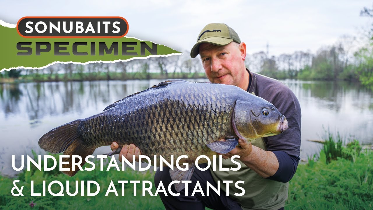 Oils & Liquid Attractants can TRANSFORM Your Fishing! | Ellis Brazier