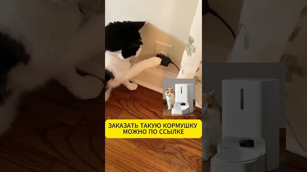 Автокормушка Xiaomi Mijia Feeder 2 YM10332124