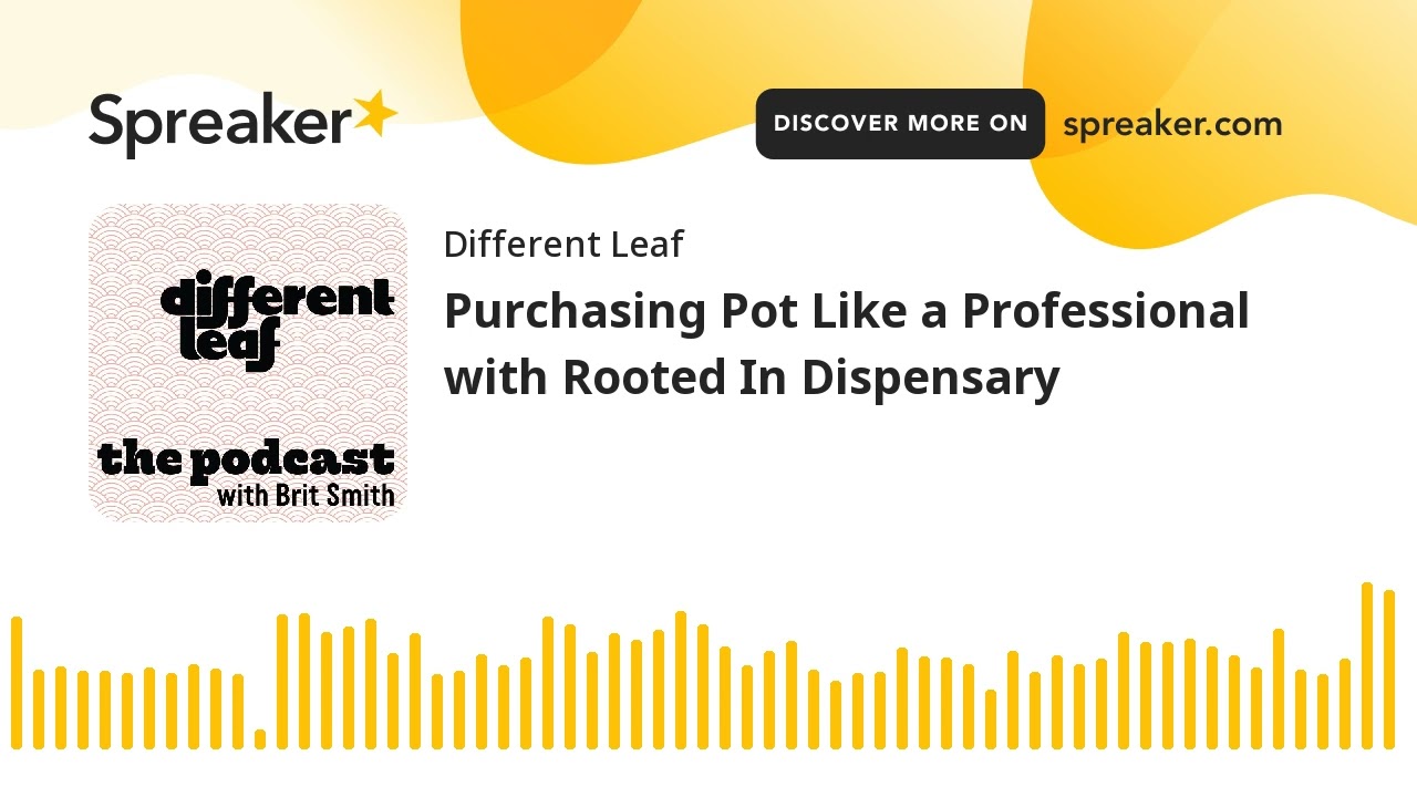 Purchasing Pot Like a Professional with Rooted In Dispensary (part 1 of 2)
