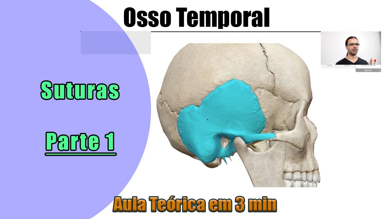 Osso Temporal - Aula Teórica - Parte 1 - Anatomia Humana