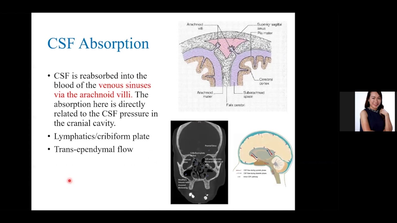 Neurophysiology: Cerebrospinal Fluid, Blood Brain Barrier, Cerebral Blood Flow,  Autoregulation
