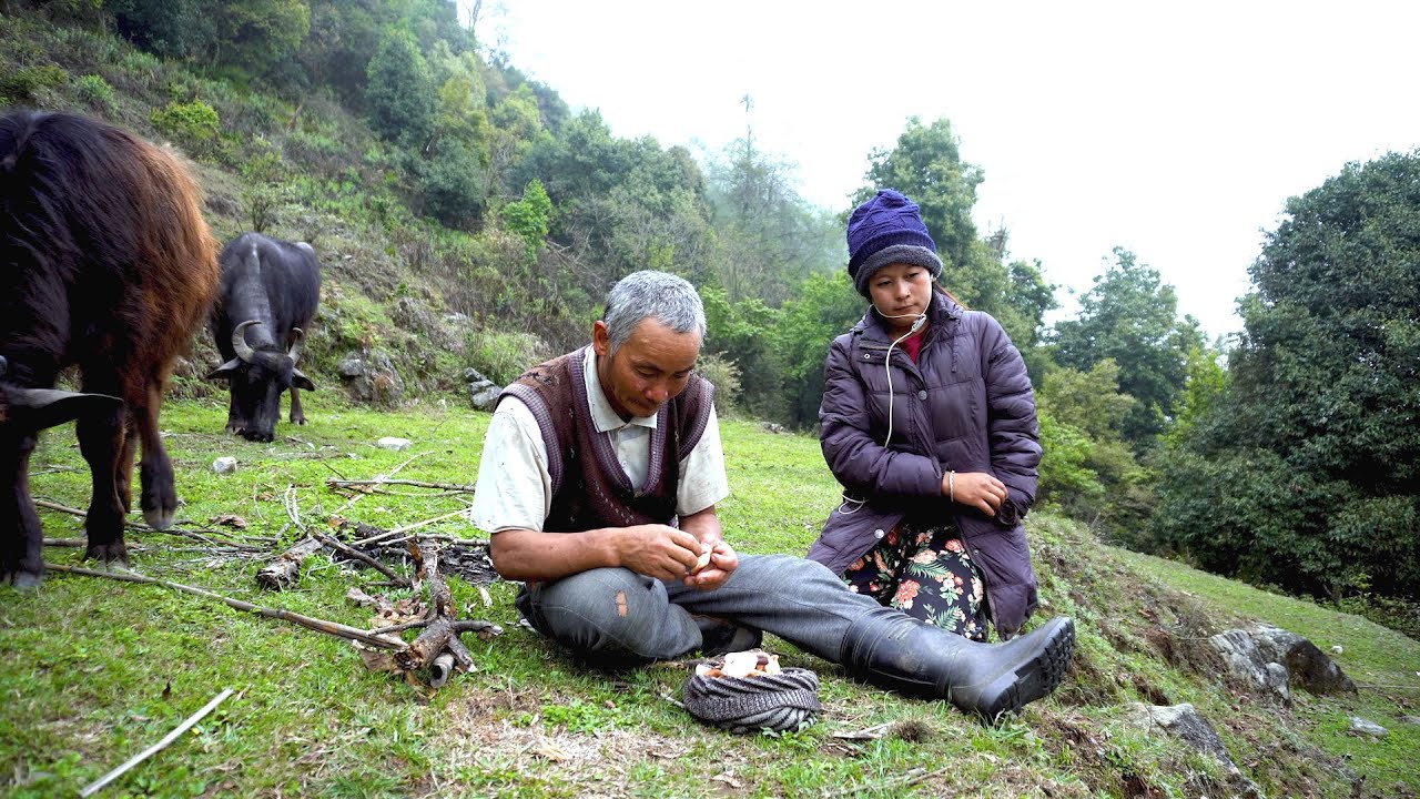 buffalo herders in the jungle herding || Life in rural Nepal ||