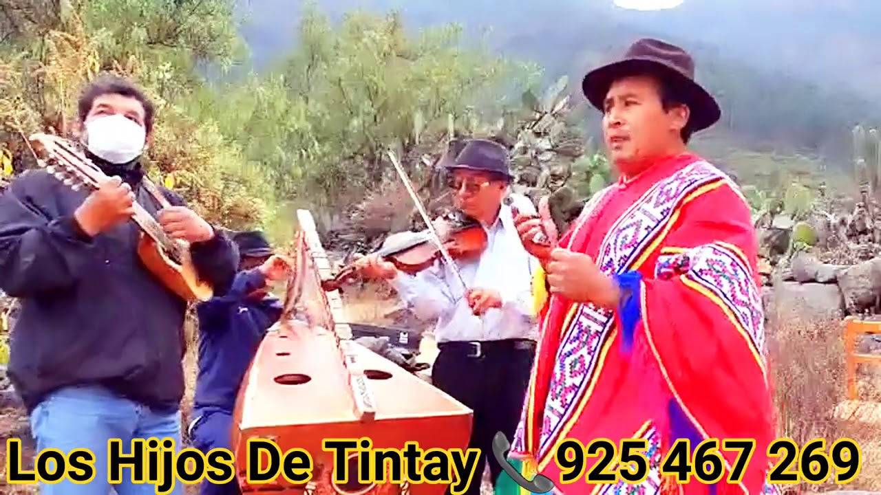 Los Hijos De Tintay y Alconcito De Apurímac