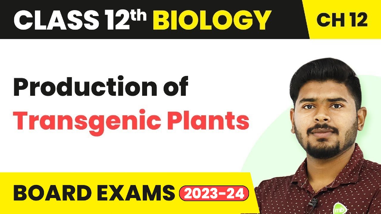 Production of Transgenic Plants - Biotechnology and Its Applications | Class 12 Biology (2022-23)