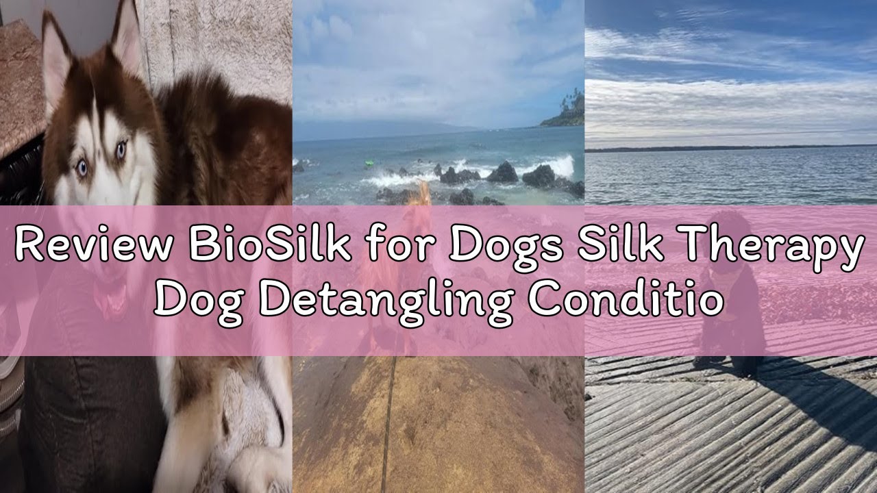 Review BioSilk for Dogs Silk Therapy Dog Detangling Conditioner, Dog Coat Conditioner to Help Smooth