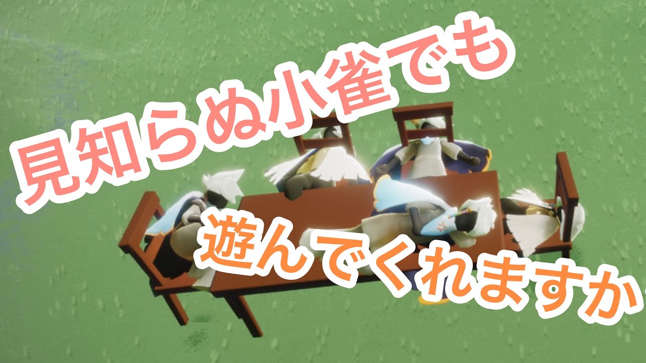 雀の姿で野良さんに突撃!?【sky星を紡ぐ子どもたち】【実録プレイ】