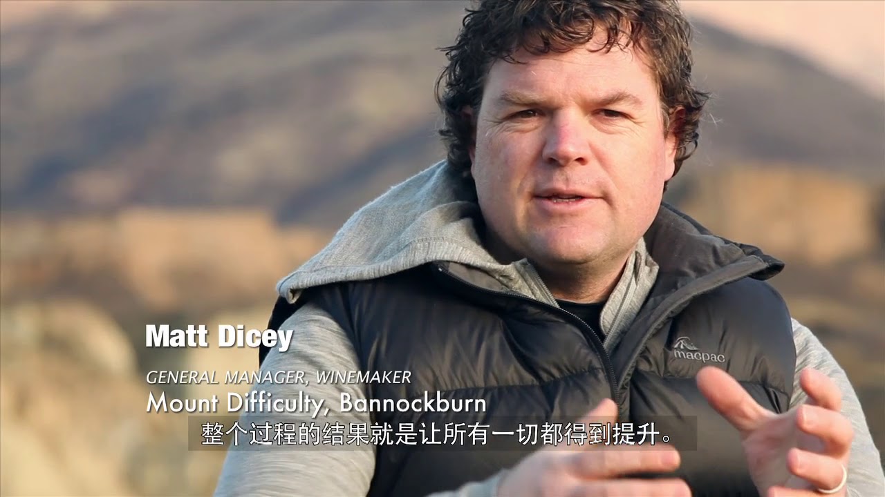 NZWG Sustainability 2014 Vid 2 Chinese subs
