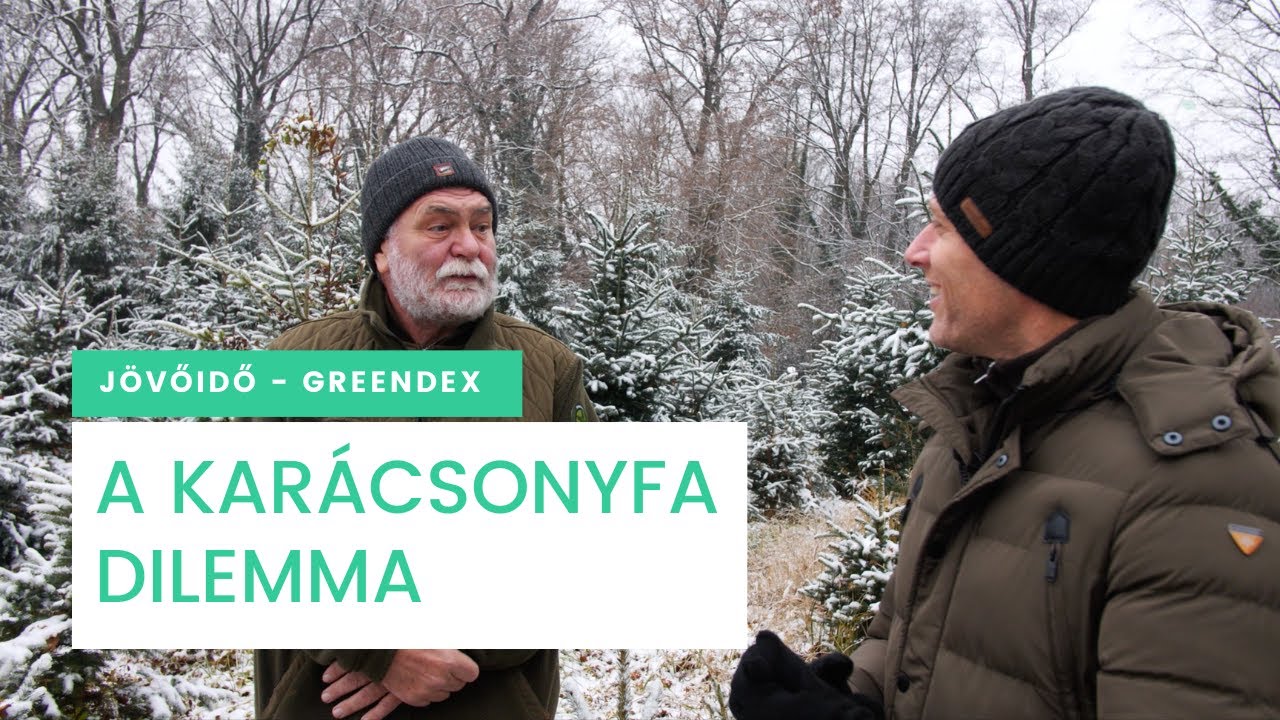 Kar&aacute;csonyfa: fenyő vagy műfenyő? - J&ouml;vő idő | Greendex