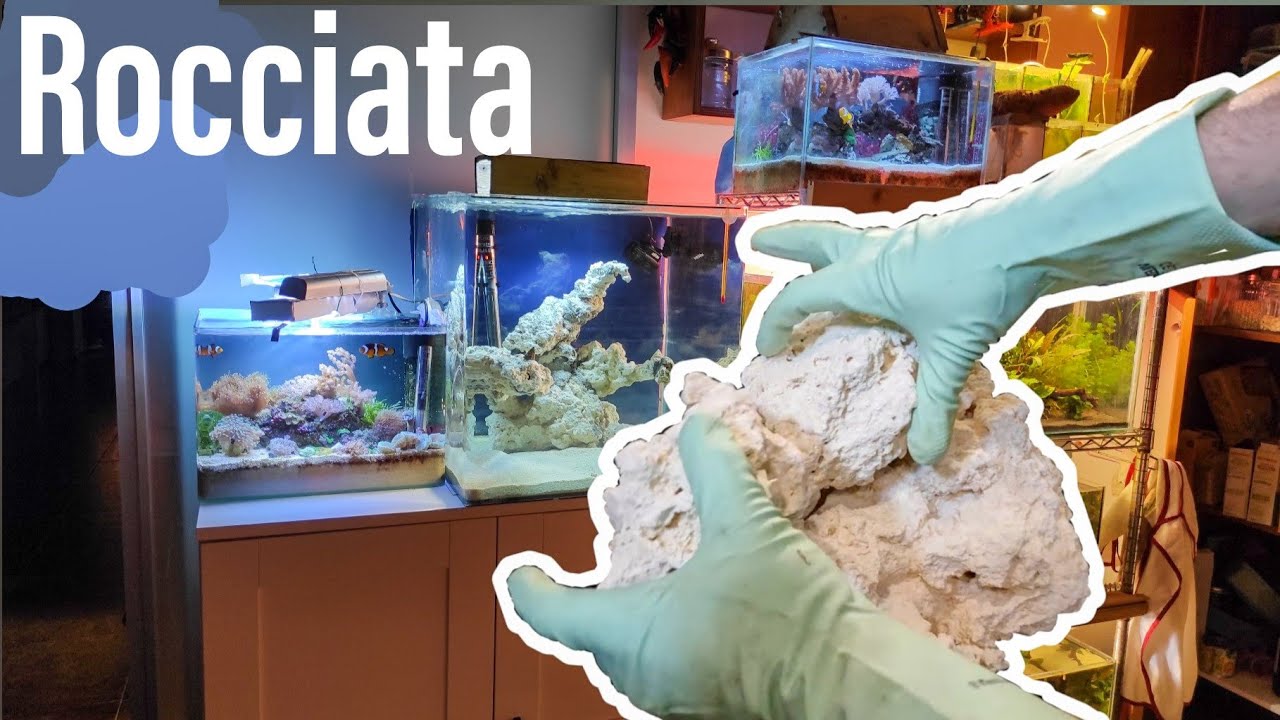 Incollaggio rocciata - NUOVO ACQUARIO MARINO Ep. 2