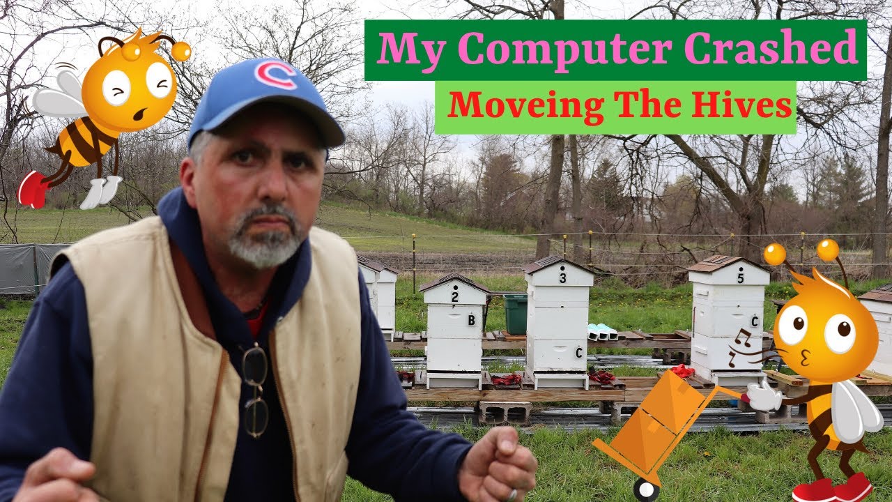 BEEKEEPING: HOW TO MOVE A BEEHIVE ANY DISTANCE 3 FEET OR MORE ( APRIL 2020 )