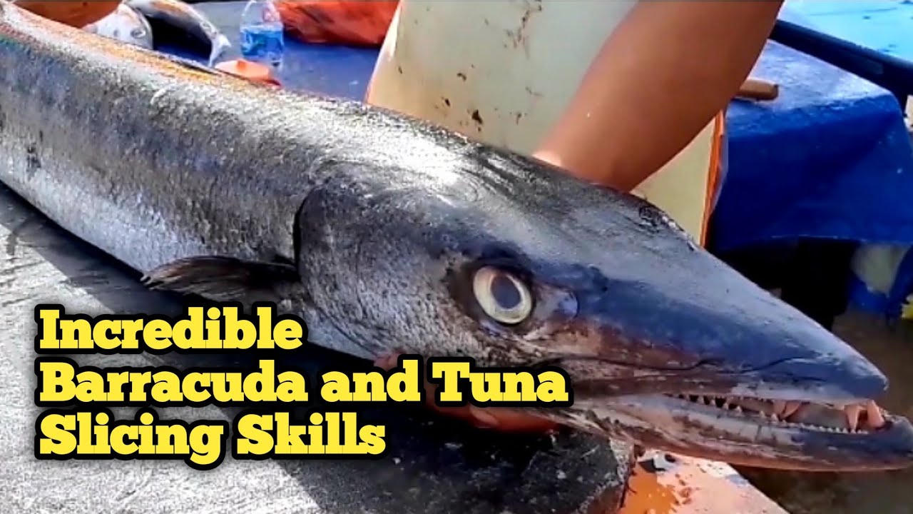 Incredible Barracuda and Tuna Slicing Skills