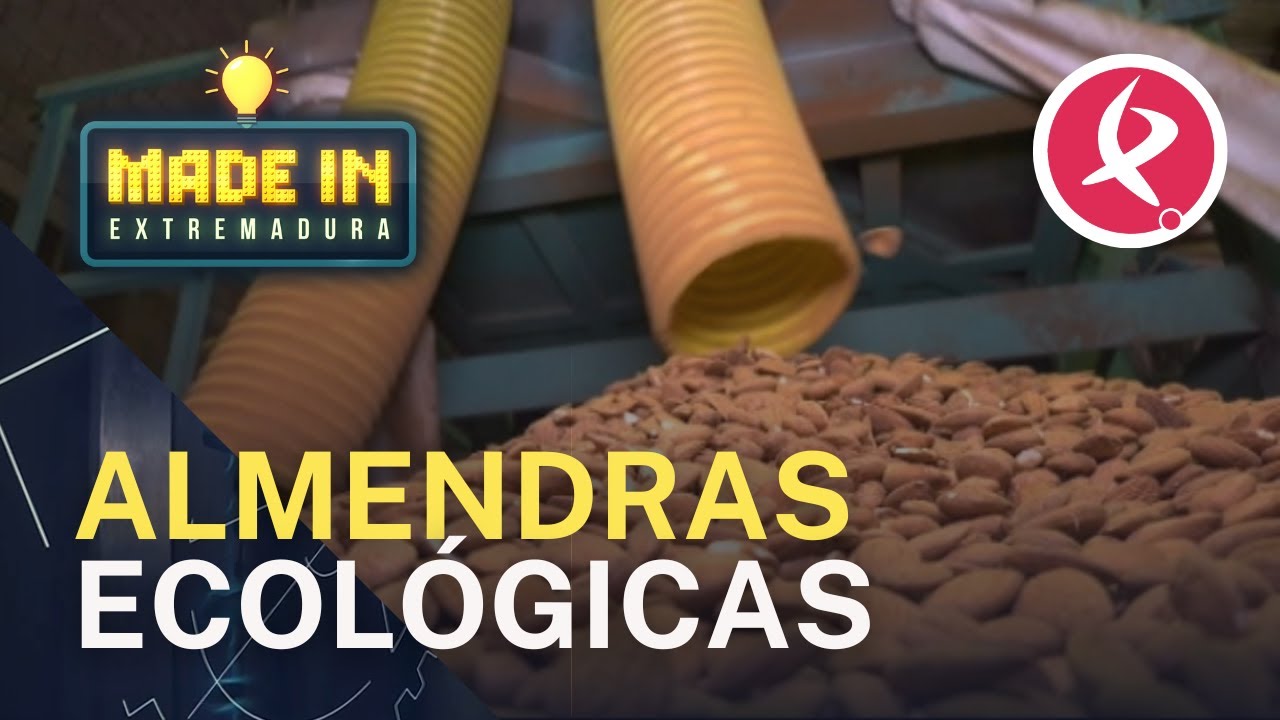 ¿Cómo se producen las almendras ecológicas? | Made in Extremadura