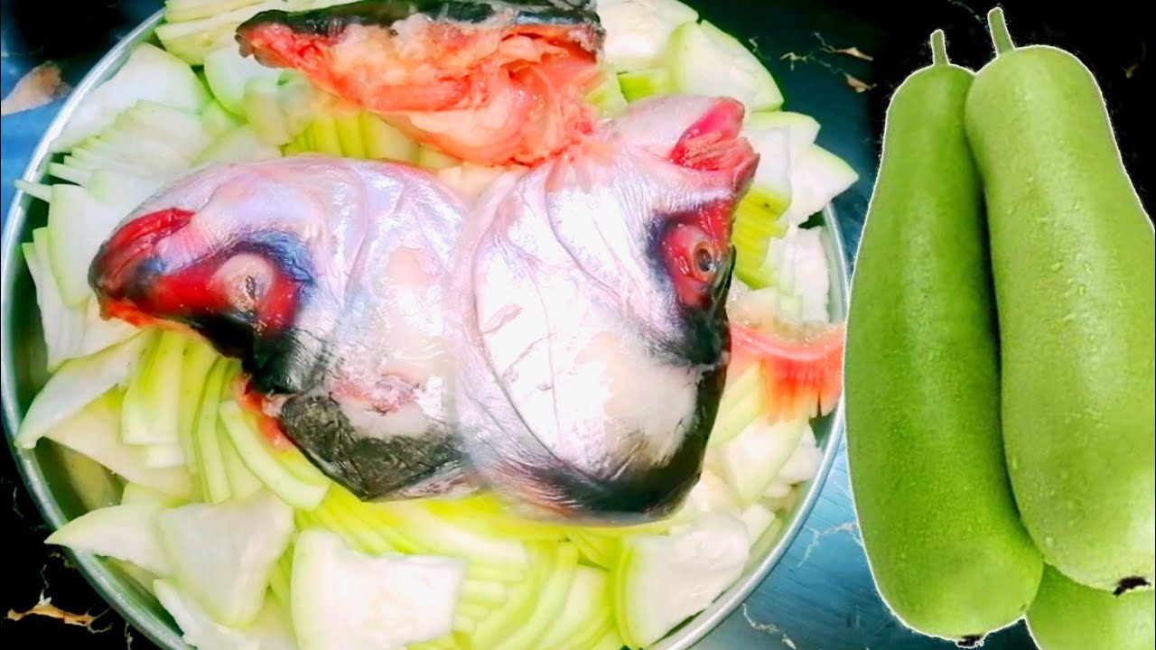 অল্প মসলায় সেহরির জন্য মাছের মাথা দিয়ে লাউএর রেসিপি। কাতলা মাছের মাথা দিয়ে লাউ রান্না। 