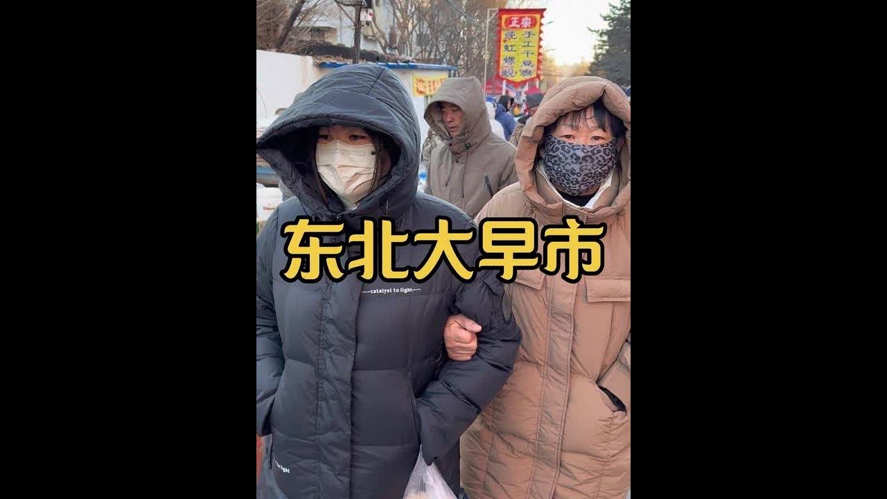 带大家感受一下东北大早市的人间烟火气～#东北早市 #记录我的农村生活 #东北猫冬生活