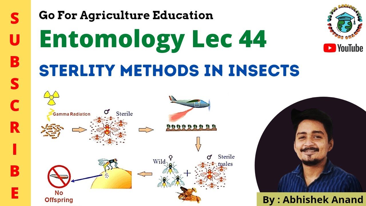 STERILITY METHODS IN INSECT (SIRM or SIT) • Entomology lec 44 • Go For Agriculture #sirmmethod #icar
