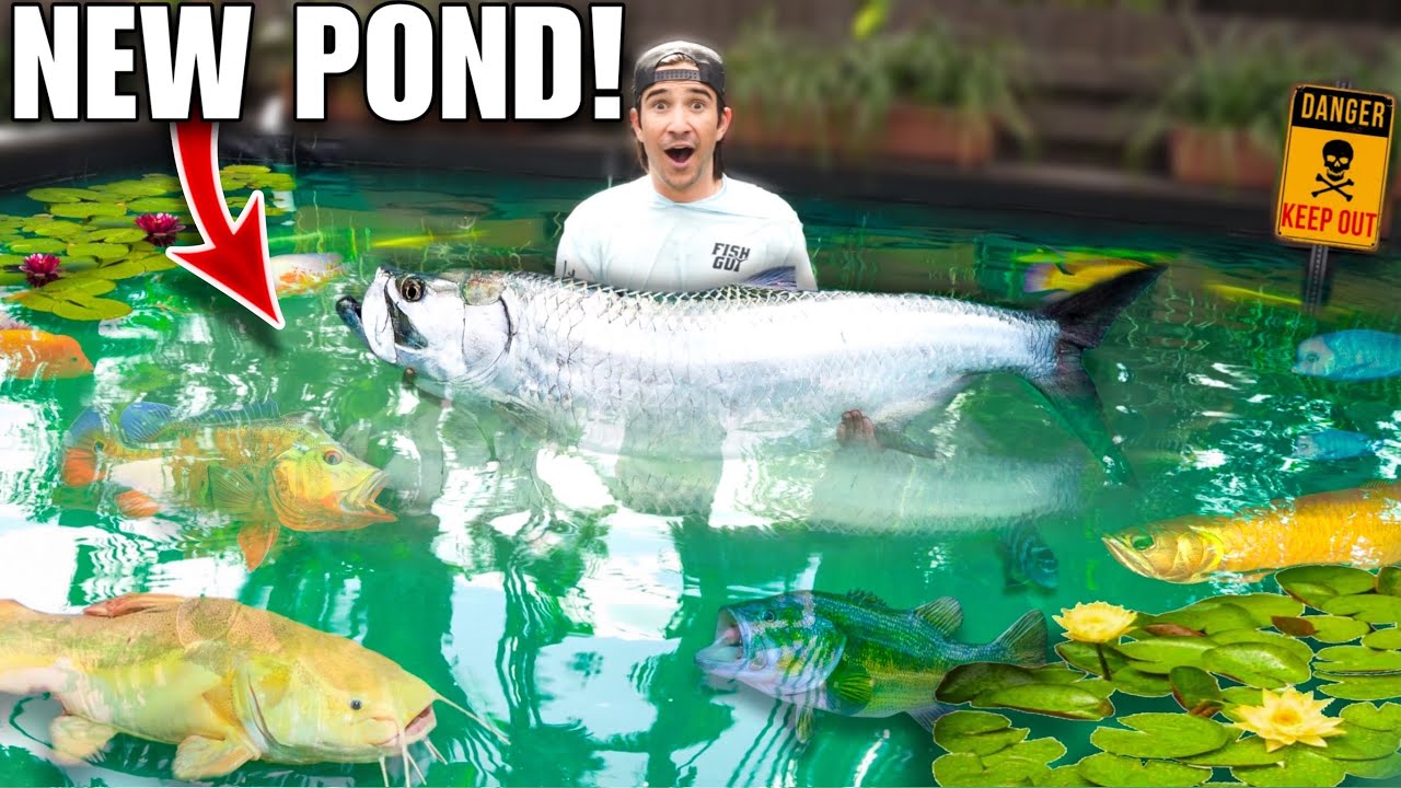 Turning The 4000G Backyard Pond Into EXOTIC DREAM AQUARIUM!