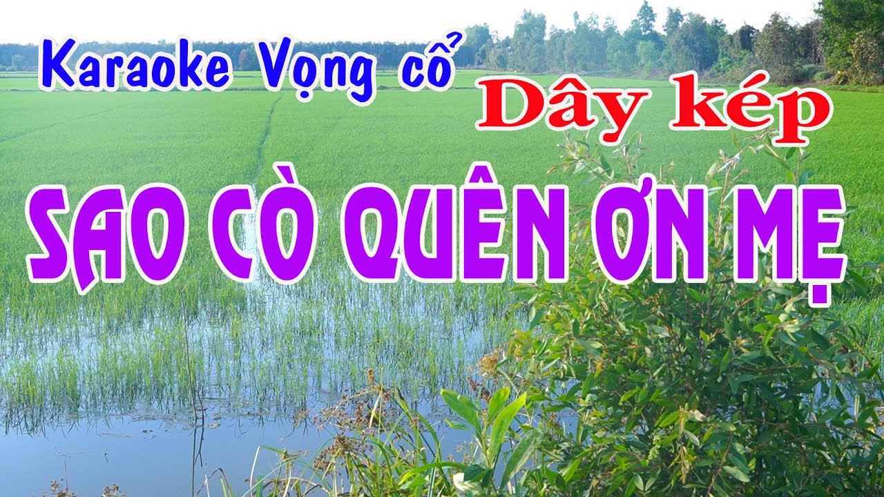 Karaoke vọng cổ SAO CÒ QUÊN ƠN MẸ - DÂY KÉP [T/g Trần Đạt]