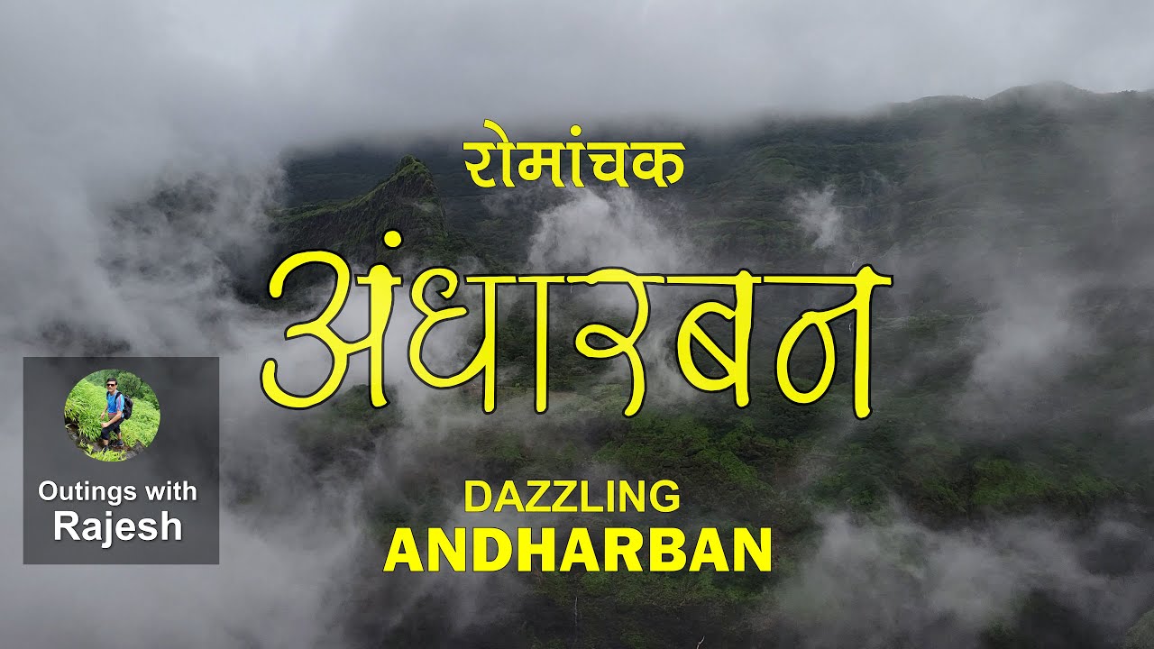 Andharban in monsoon | अंधारबनात पावसाळी सहल