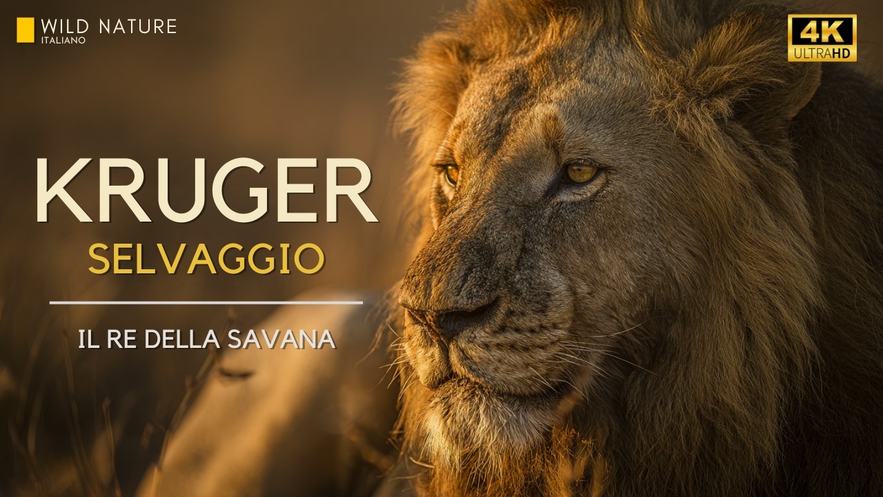 KRUGER SELVAGGIO – Dove la Natura Decide Chi Vive e Chi Muore | Documentario Animale