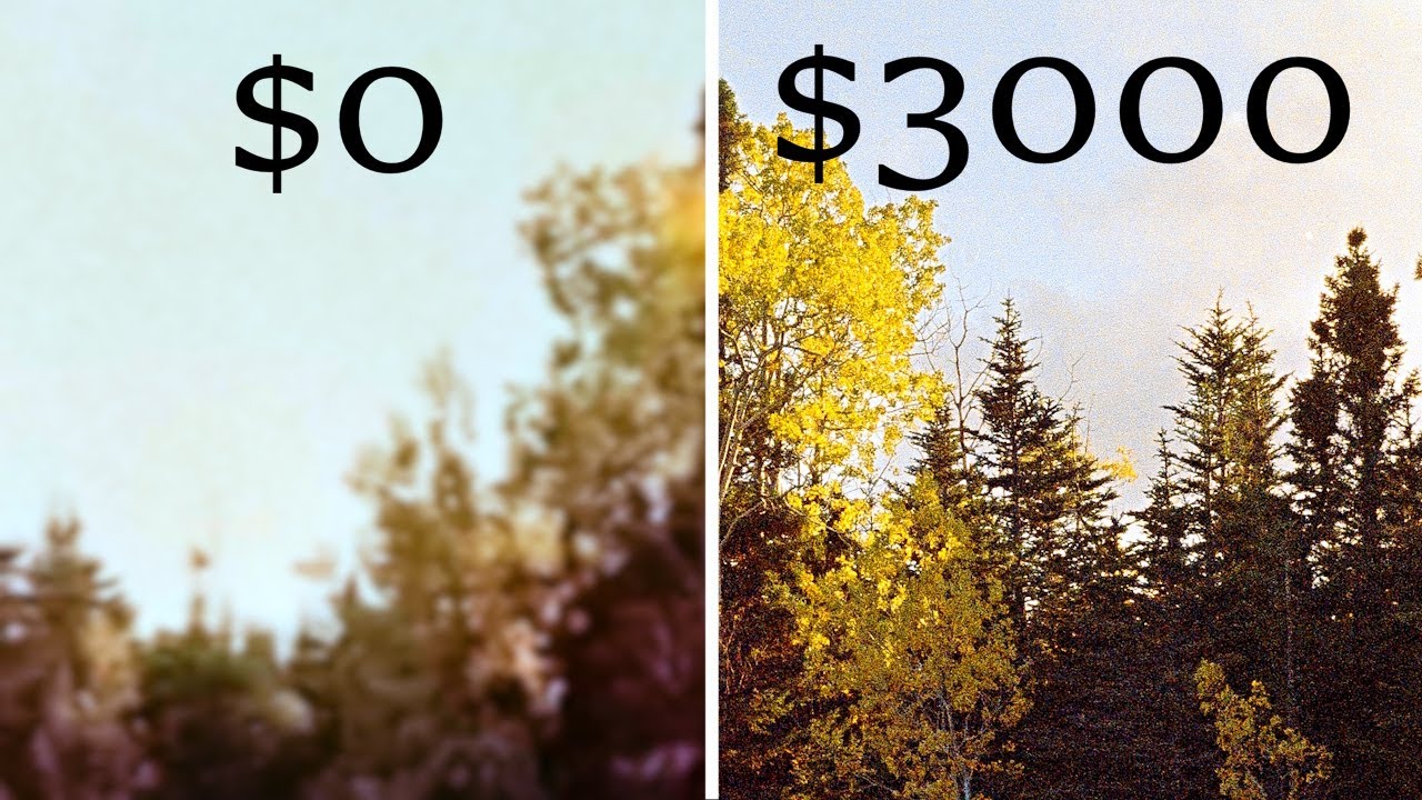 Film Scan Comparison - Phone vs Flatbed vs DSLR scanning