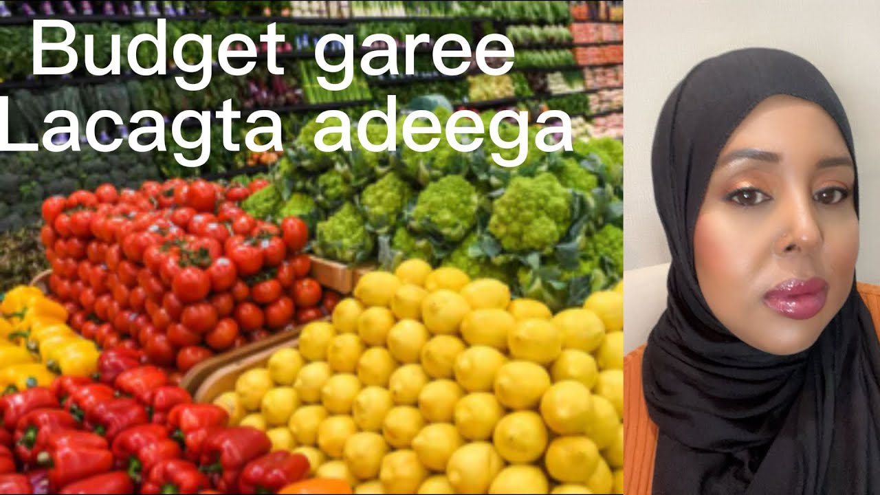 Taxanihii Dhiirigelinta 2026,  lacagta Adeega ma xalin kari la dahay? #budgeting  