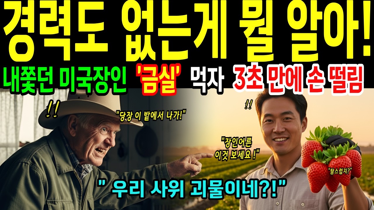[해외감동사연] 