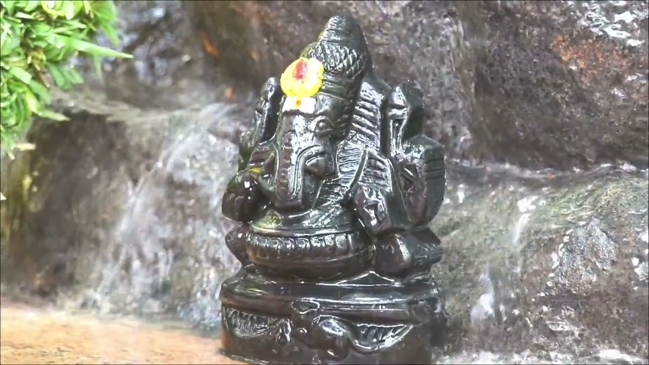 Sangadahara sathurthi at Selvaganapathy temple thottapalayam vellore 