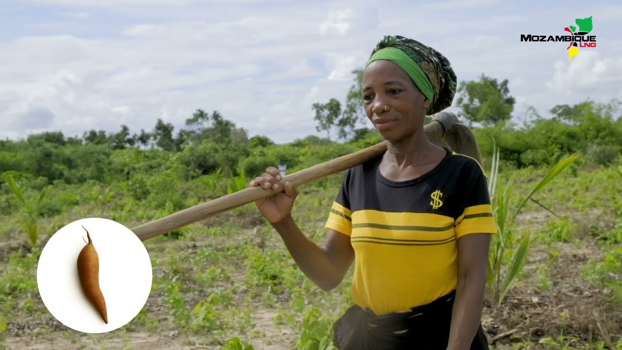 Projecto Mozambique LNG - Geração de biodiesel