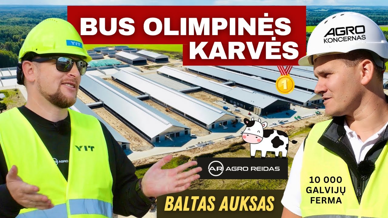 Moderniausias karvių fermų kompleksas su  10 000 galvijų Radviliškio rajone || AGRO REIDAS