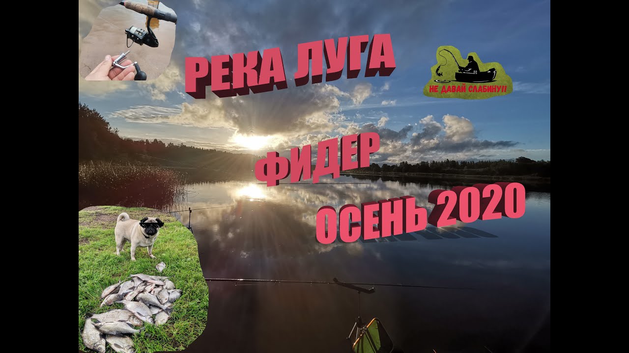 река Луга, рыбалка, хороший клев Леща, фидер, осень 2020