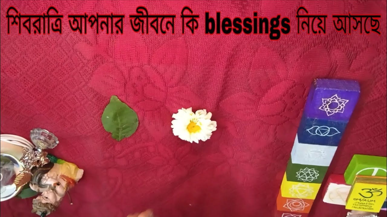 শিবরাত্রি আপনার জীবনে কি বার্তা দিচ্ছে | Blessings | Tarot | Collective Energy #tarot #spirituality 
