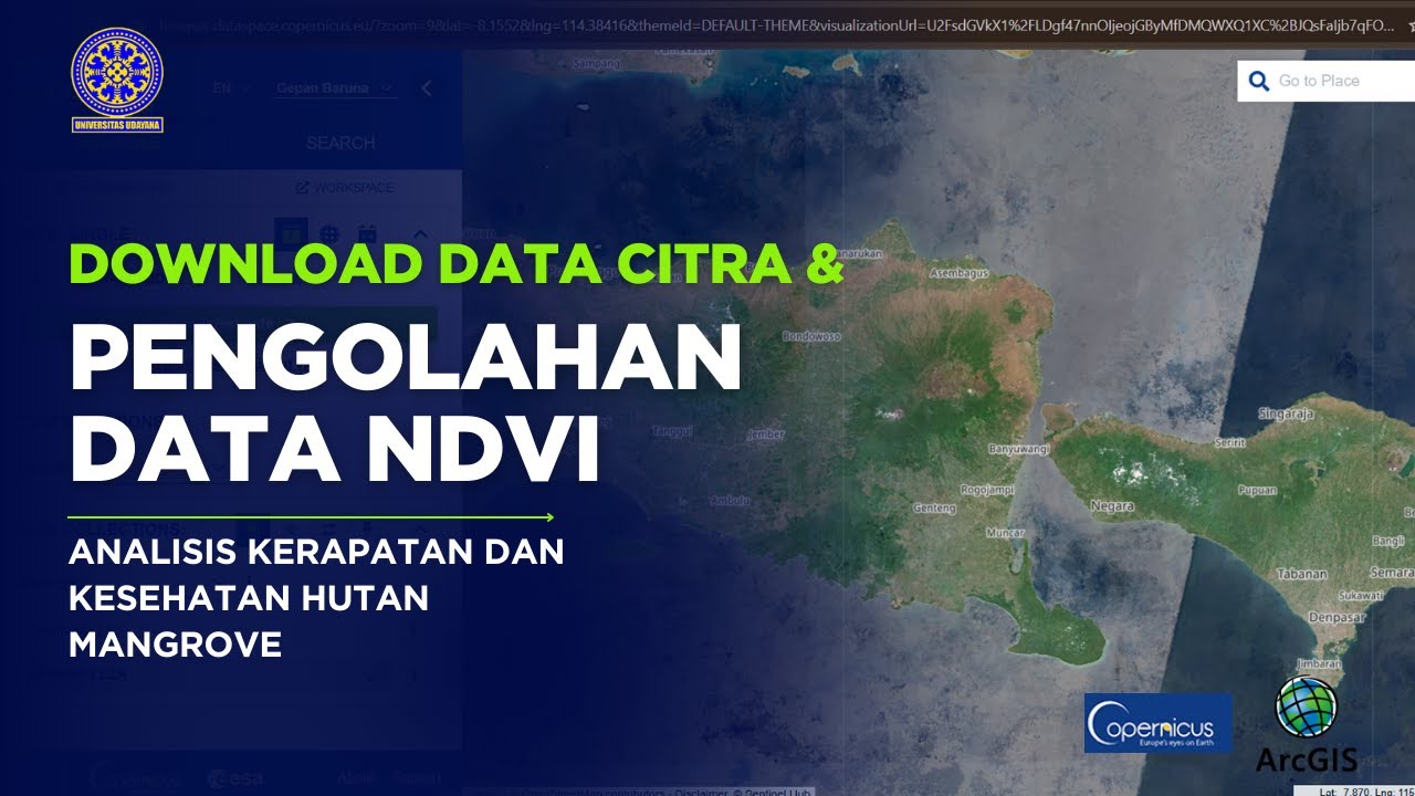 Tutorial Download Data Citra Sentinel dan Pengolahan data NDVI