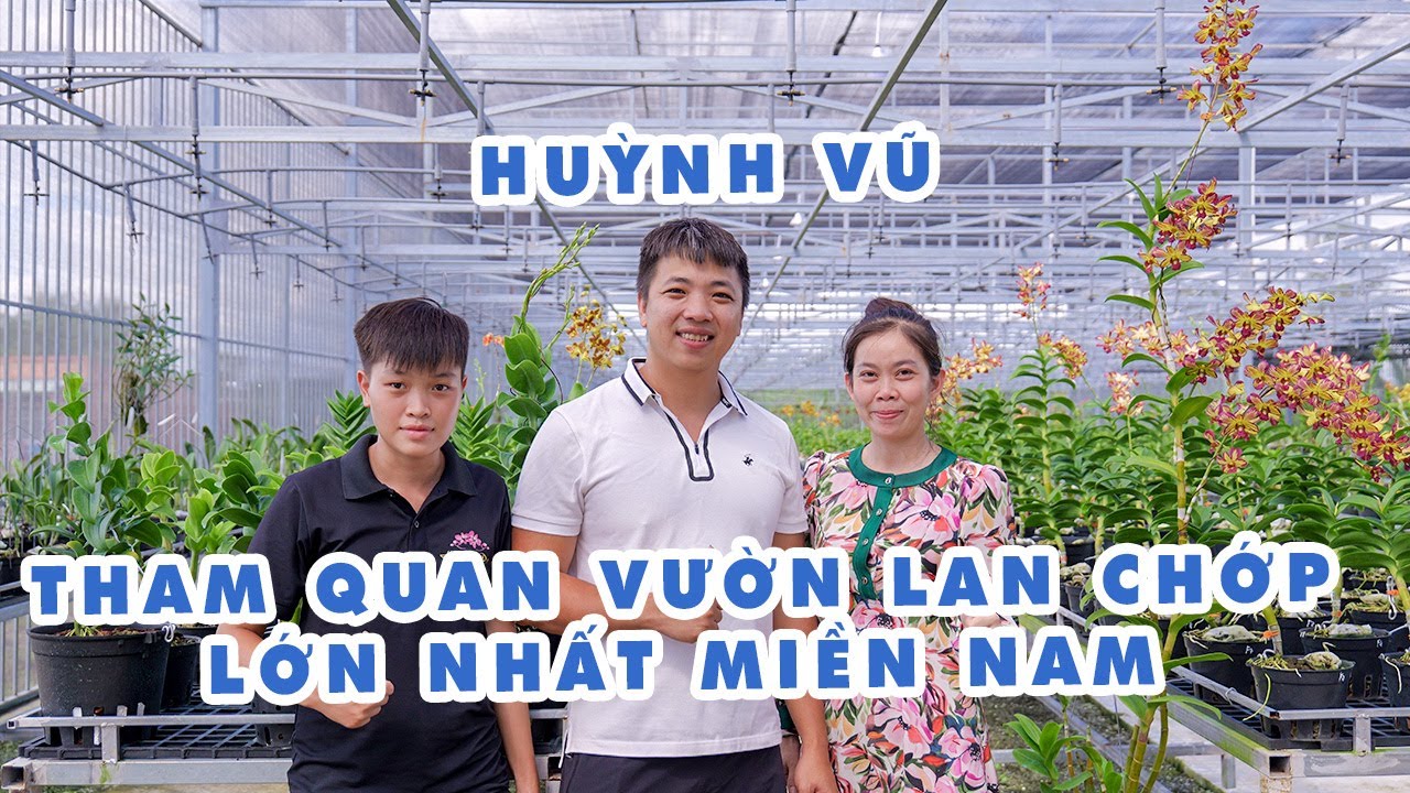 THAM QUAN VƯỜN LAN CHỚP LỚN NHẤT MIỀN NAM #hoalandep