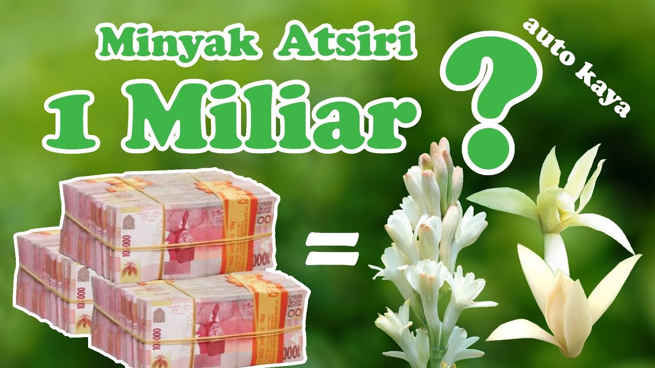 5 Minyak Atsiri Termahal di Dunia (miliar rupiah)