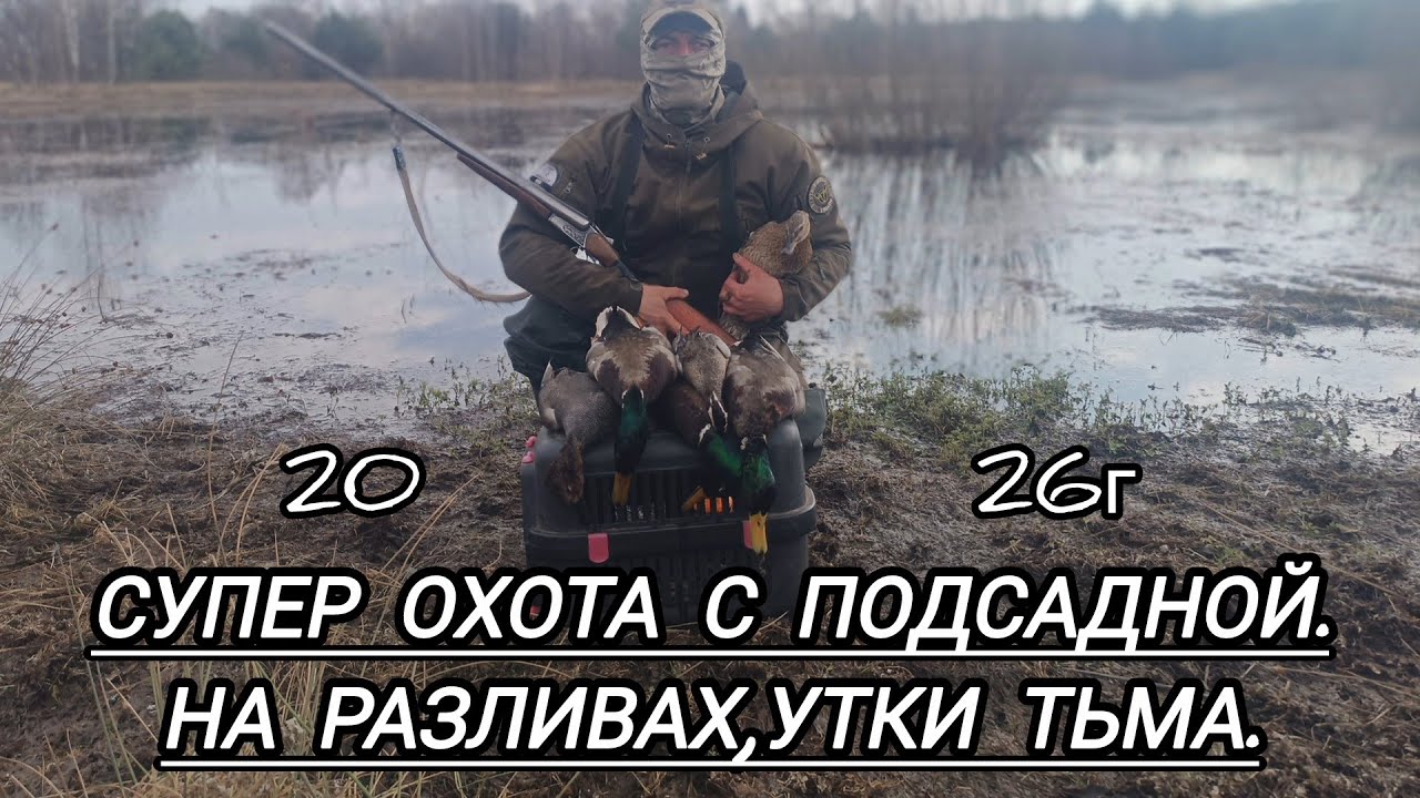СУПЕР ОХОТА С ПОДСАДНОЙ 2026г. НА РАЗЛИВАХ. УТКИ ТЬМА.