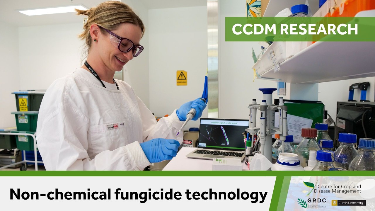 The search for non-chemical fungicide technology | CCDM Research